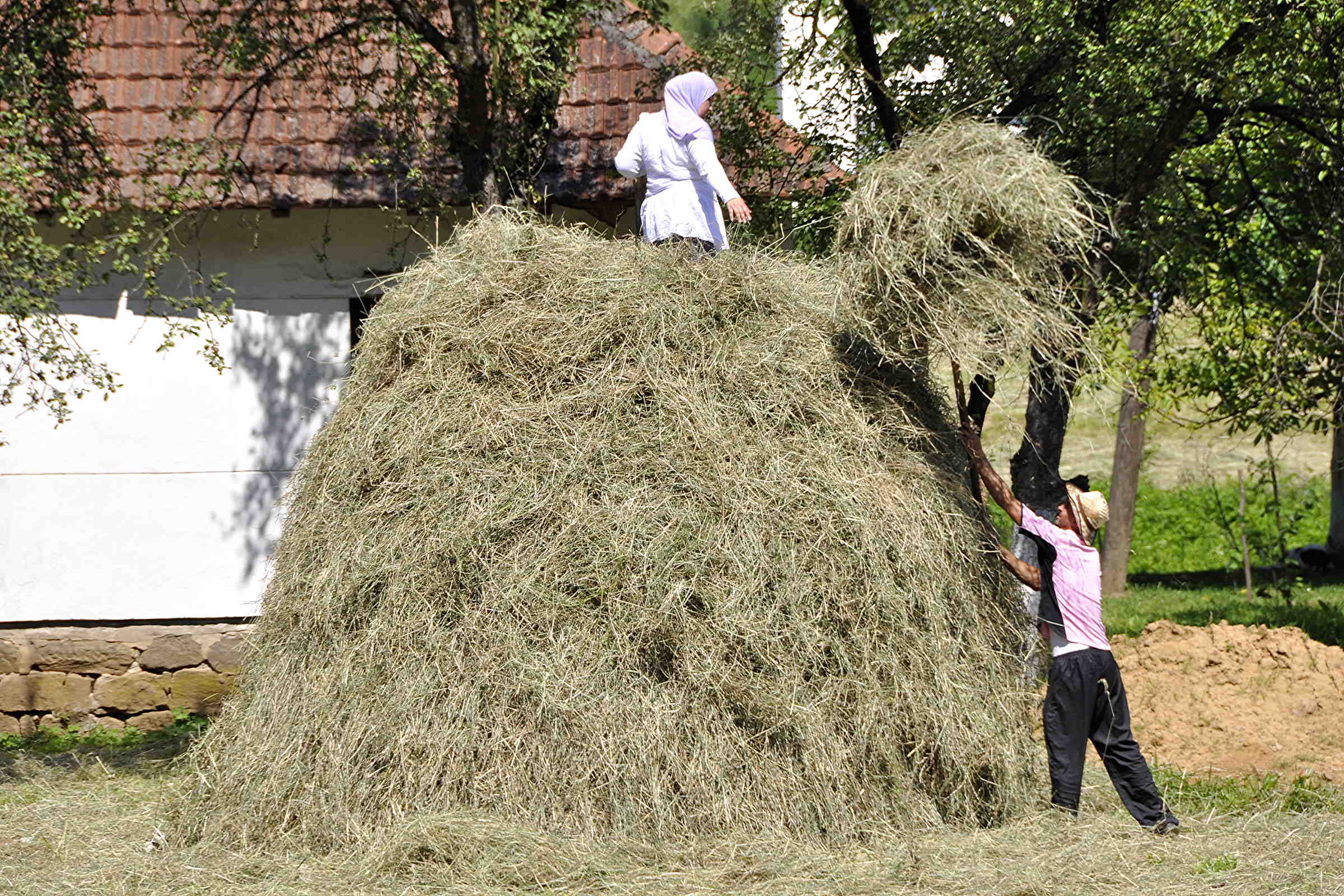 Srebrenica haymaking