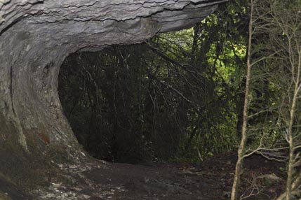 Path to Kodor canyon