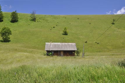 Farm building