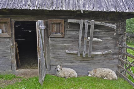 Carpathian stable