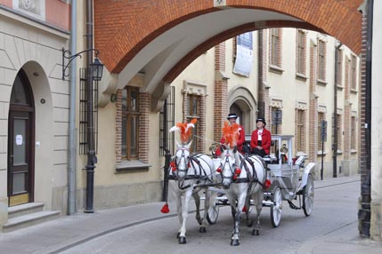 Horse-drawn carriage